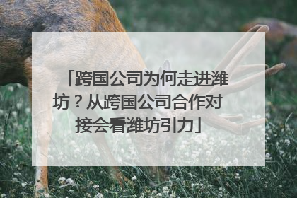 跨国公司为何走进潍坊？从跨国公司合作对接会看潍坊引力