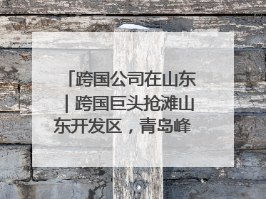 跨国公司在山东｜跨国巨头抢滩山东开发区，青岛峰会拉开帷幕