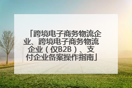 跨境电子商务物流企业、跨境电子商务物流企业（仅B2B）、支付企业备案操作指南