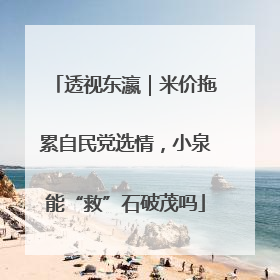 透视东瀛｜米价拖累自民党选情，小泉能“救”石破茂吗