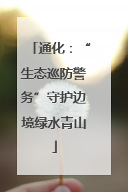 通化：“生态巡防警务”守护边境绿水青山