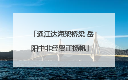 通江达海架桥梁 岳阳中非经贸正扬帆