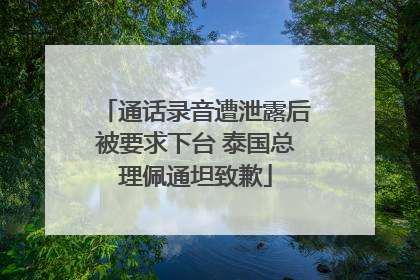 通话录音遭泄露后被要求下台 泰国总理佩通坦致歉