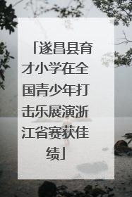 遂昌县育才小学在全国青少年打击乐展演浙江省赛获佳绩