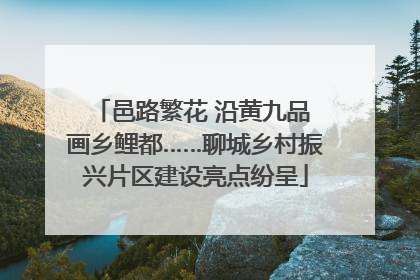 邑路繁花 沿黄九品 画乡鲤都……聊城乡村振兴片区建设亮点纷呈