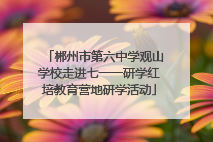 郴州市第六中学观山学校走进七一一研学红培教育营地研学活动