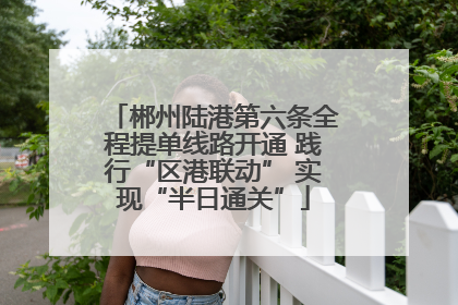 郴州陆港第六条全程提单线路开通 践行“区港联动” 实现“半日通关”