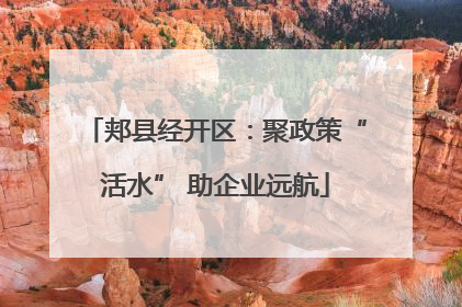 郏县经开区：聚政策“活水” 助企业远航