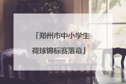 郑州市中小学生荷球锦标赛落幕