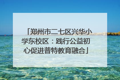 郑州市二七区兴华小学东校区：践行公益初心促进普特教育融合