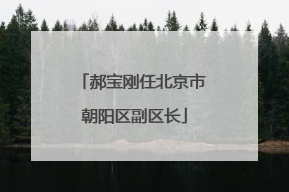 郝宝刚任北京市朝阳区副区长