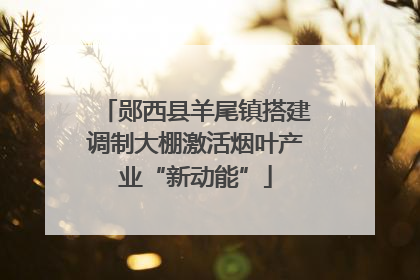 郧西县羊尾镇搭建调制大棚激活烟叶产业“新动能”