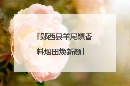 郧西县羊尾镇香料烟田焕新颜