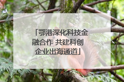 鄂港深化科技金融合作 共建科创企业出海通道