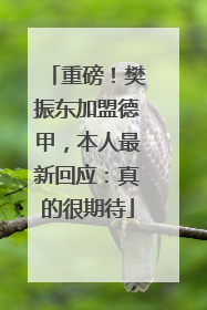 重磅！樊振东加盟德甲，本人最新回应：真的很期待