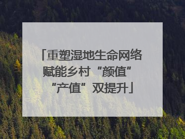 重塑湿地生命网络 赋能乡村“颜值”“产值”双提升