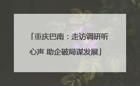 重庆巴南：走访调研听心声 助企破局谋发展