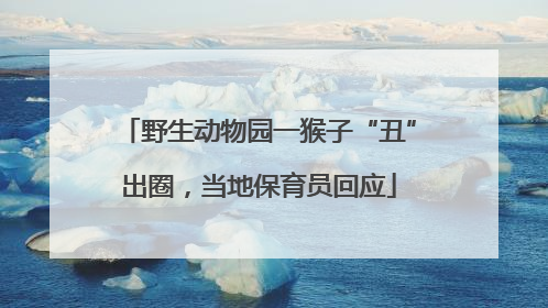 野生动物园一猴子“丑”出圈，当地保育员回应