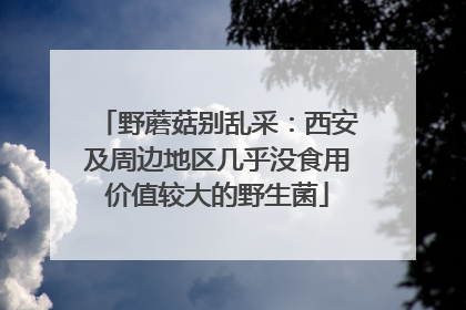 野蘑菇别乱采：西安及周边地区几乎没食用价值较大的野生菌