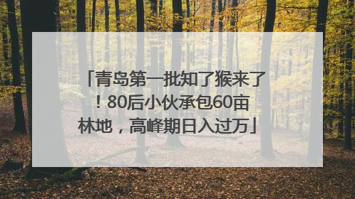 青岛第一批知了猴来了！80后小伙承包60亩林地，高峰期日入过万