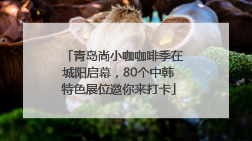青岛尚小咖咖啡季在城阳启幕，80个中韩特色展位邀你来打卡