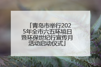 青岛市举行2025年全市六五环境日暨环保世纪行宣传月活动启动仪式