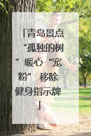 青岛景点“孤独的树”暖心“宠粉” 移除健身指示牌