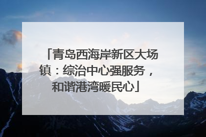 青岛西海岸新区大场镇：综治中心强服务，和谐港湾暖民心