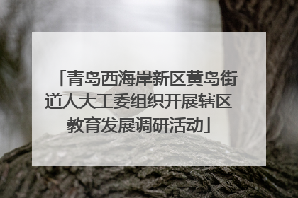 青岛西海岸新区黄岛街道人大工委组织开展辖区教育发展调研活动