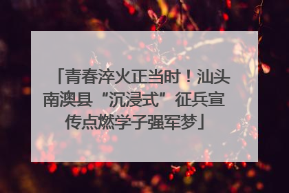 青春淬火正当时！汕头南澳县“沉浸式”征兵宣传点燃学子强军梦