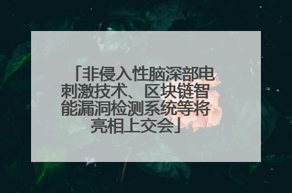 非侵入性脑深部电刺激技术、区块链智能漏洞检测系统等将亮相上交会