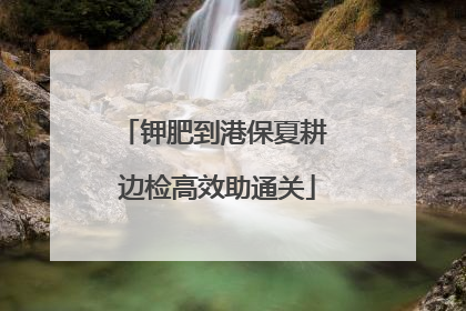 钾肥到港保夏耕 边检高效助通关