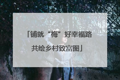 铺就“梅”好幸福路 共绘乡村致富图