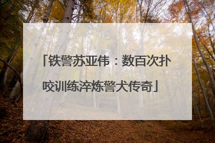 铁警苏亚伟：数百次扑咬训练淬炼警犬传奇