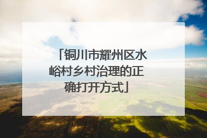 铜川市耀州区水峪村乡村治理的正确打开方式