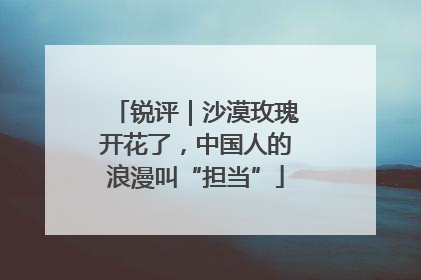 锐评｜沙漠玫瑰开花了，中国人的浪漫叫“担当”