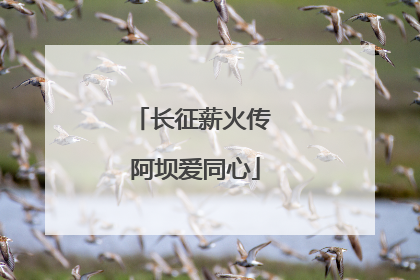 长征薪火传 阿坝爱同心