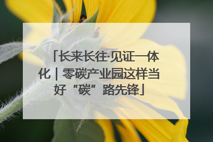 长来长往·见证一体化｜零碳产业园这样当好“碳”路先锋