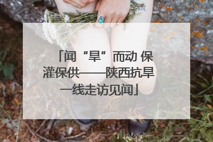 闻“旱”而动 保灌保供——陕西抗旱一线走访见闻