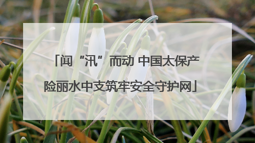 闻“汛”而动 中国太保产险丽水中支筑牢安全守护网