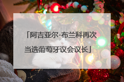 阿吉亚尔-布兰科再次当选葡萄牙议会议长