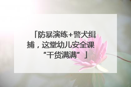 防暴演练+警犬缉捕，这堂幼儿安全课“干货满满”