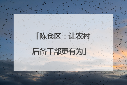 陈仓区：让农村后备干部更有为
