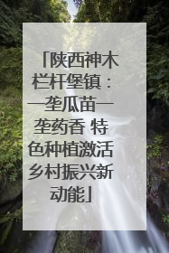陕西神木栏杆堡镇：一垄瓜苗一垄药香 特色种植激活乡村振兴新动能