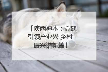 陕西神木：党建引领产业兴 乡村振兴谱新篇