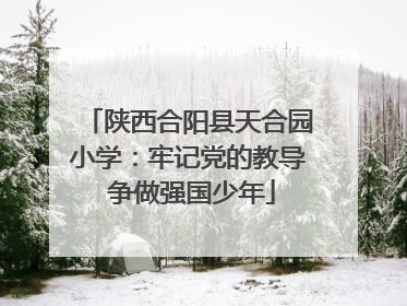 陕西合阳县天合园小学：牢记党的教导 争做强国少年