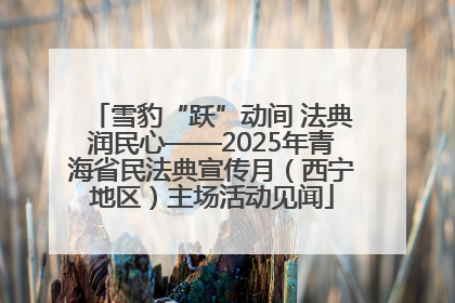 雪豹“跃”动间 法典润民心——2025年青海省民法典宣传月（西宁地区）主场活动见闻