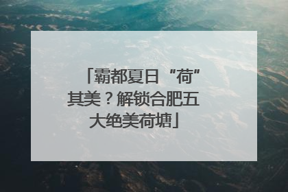 霸都夏日“荷”其美？解锁合肥五大绝美荷塘