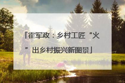 霍军政：乡村工匠“火”出乡村振兴新图景