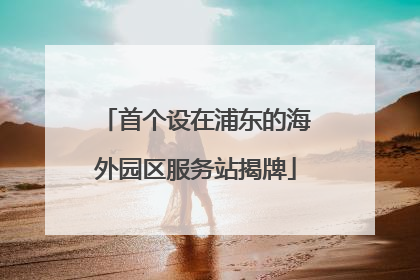 首个设在浦东的海外园区服务站揭牌